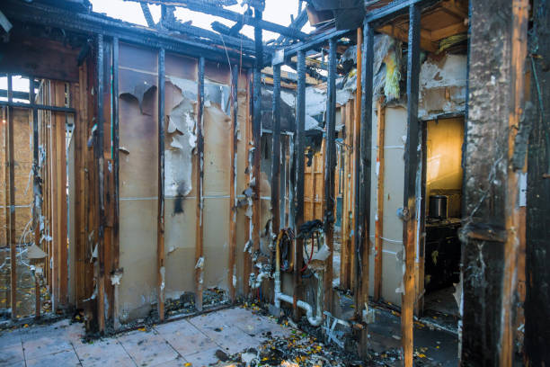 Professional Fire Damage Removal technician working in Lavonia, GA
